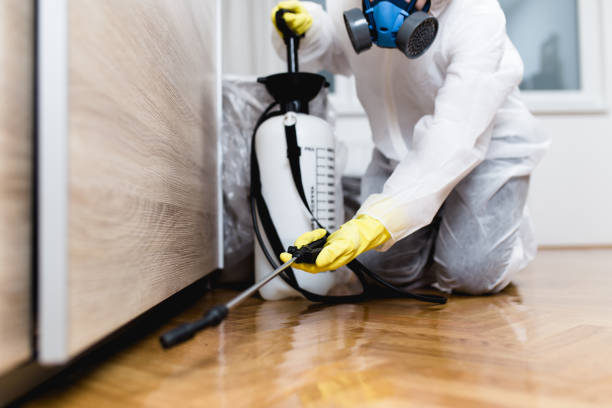 Trusted Hiram, GA Pest Control Experts