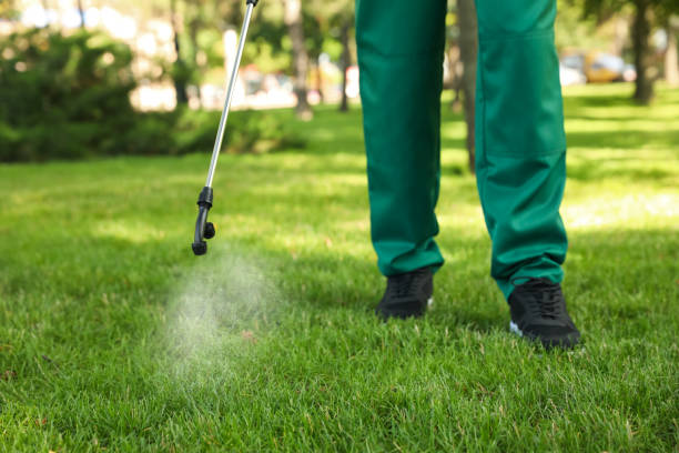 Best Wasp Removal Services  in Hiram, GA