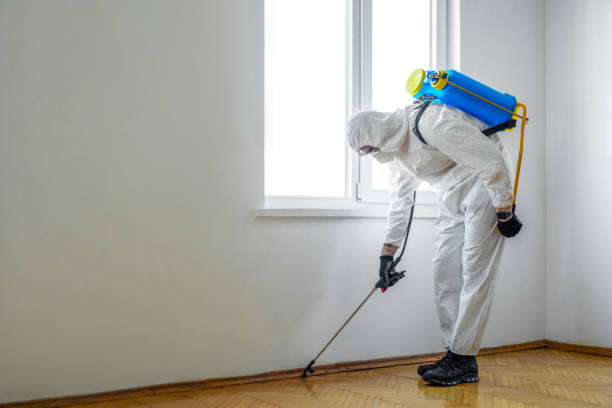 Wasp Removal Services in Hiram, GA